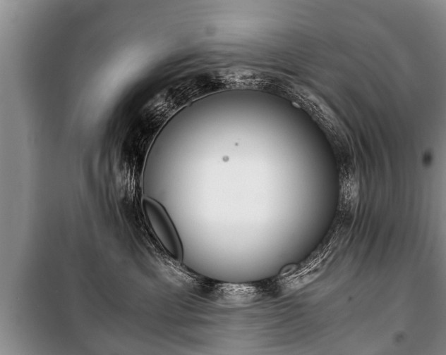 X0000100770429200806261548