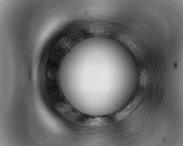 X0000100770430200806261548