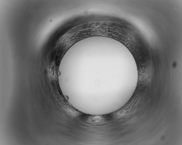 X0000100770431200806261548