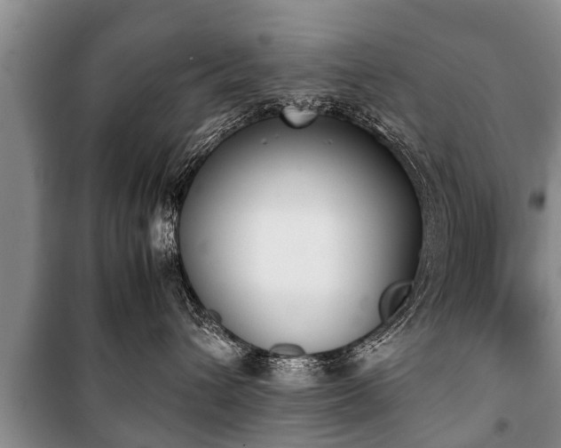 X0000100770432200806261548