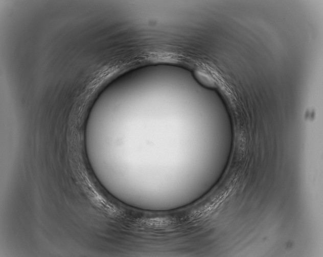 X0000100770433200806261547