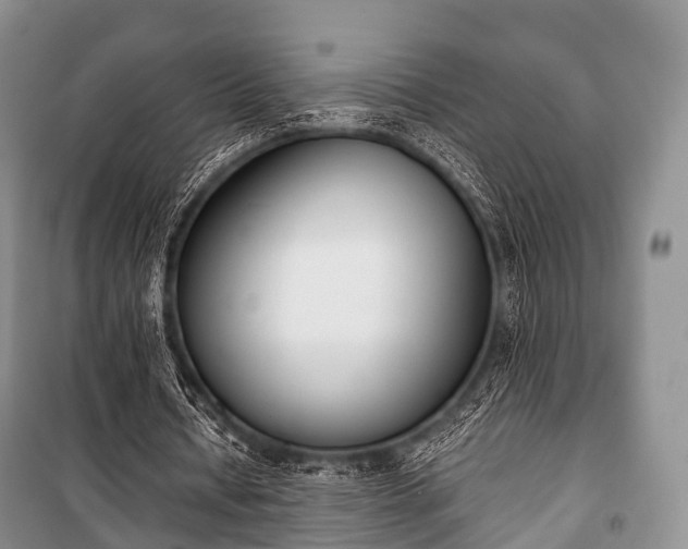 X0000100770434200806261547