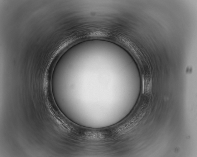 X0000100770435200806261547