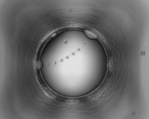X0000100770436200806261547