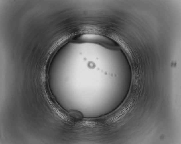 X0000100770437200806261547