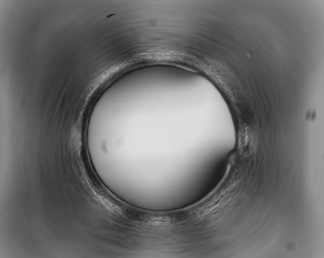 X0000100770438200806261547