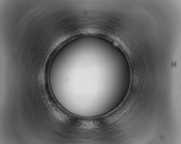 X0000100770439200806261547