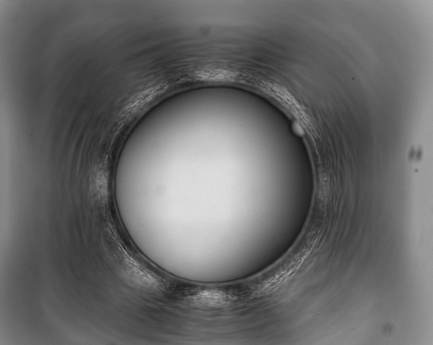 X0000100770441200806261547