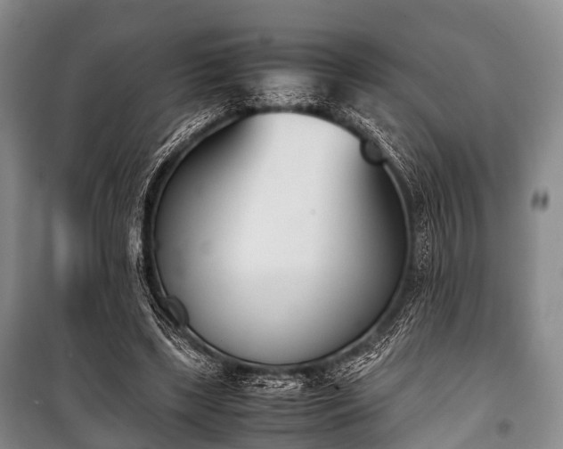 X0000100770443200806261547