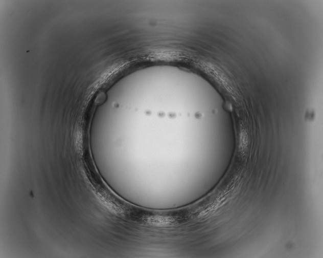 X0000100770444200806261547