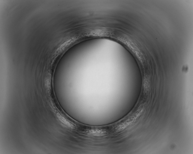 X0000100770445200806261547