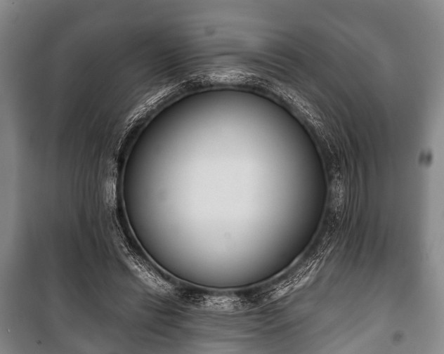 X0000100770446200806261547