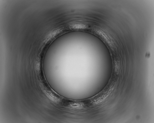X0000100770447200806261547