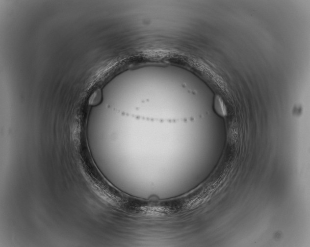 X0000100770448200806261547
