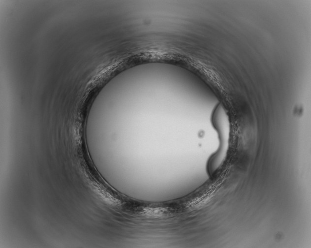 X0000100770450200806261547