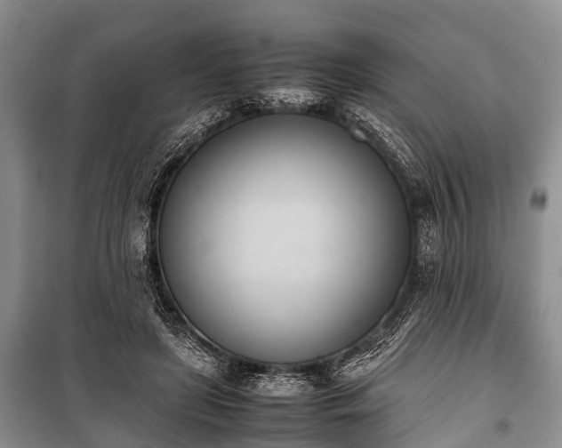 X0000100770451200806261547