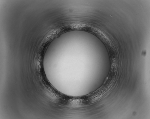 X0000100770452200806261547