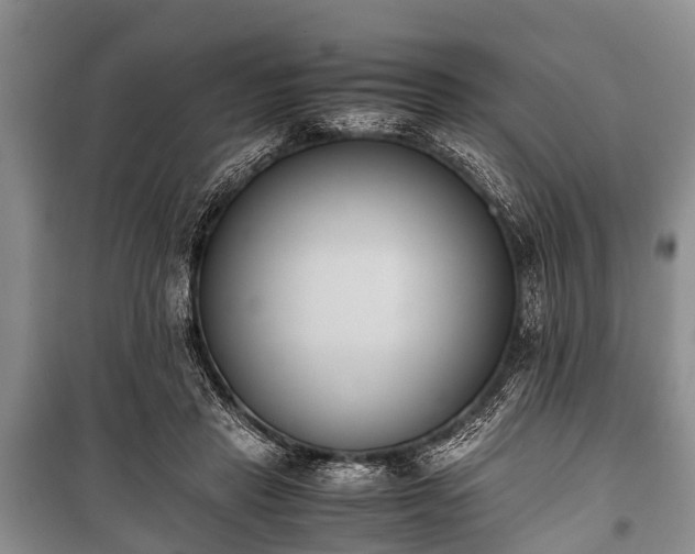 X0000100770453200806261547