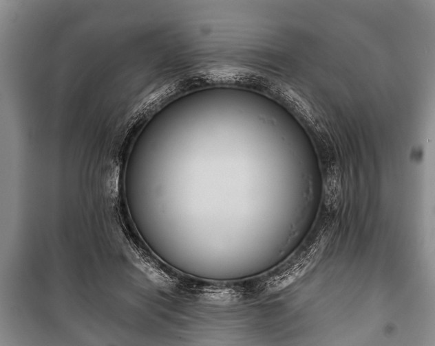 X0000100770454200806261547