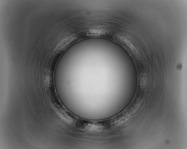 X0000100770455200806261547