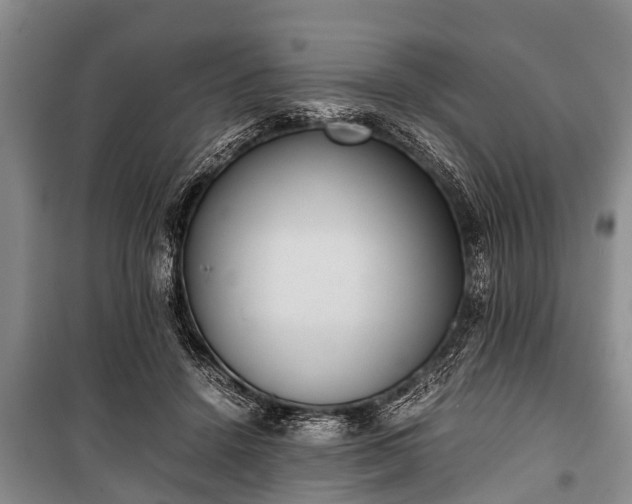 X0000100770456200806261547