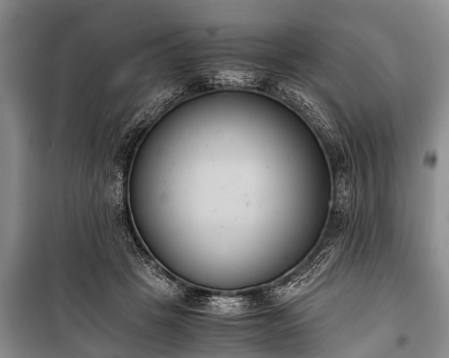 X0000100770457200806261547