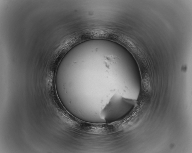 X0000100770458200806261547