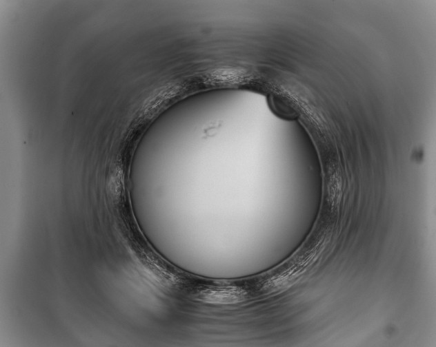 X0000100770459200806261547