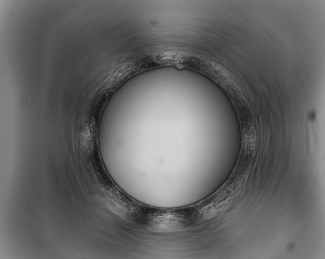 X0000100770460200806261547