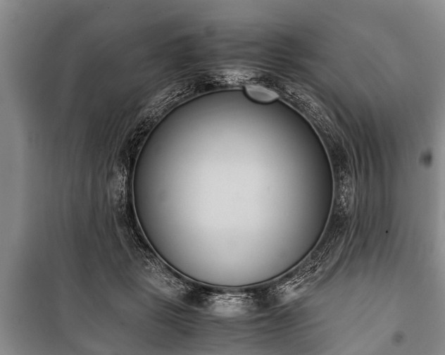 X0000100770461200806261547