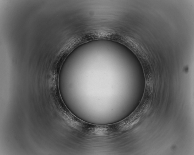 X0000100770462200806261547