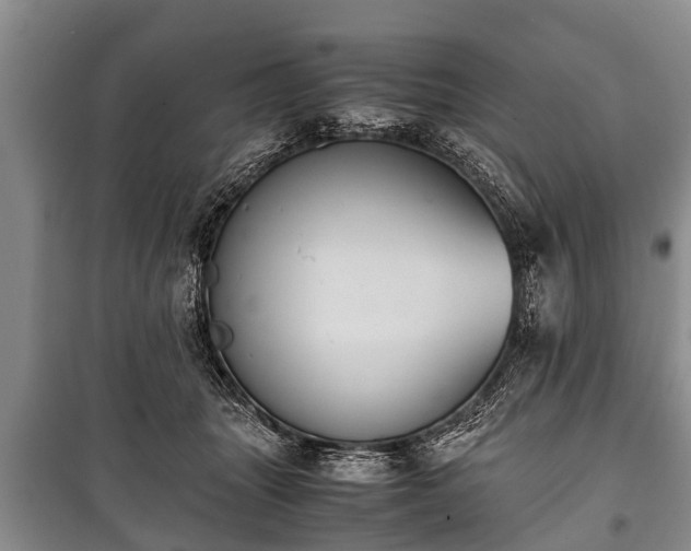 X0000100770463200806261547