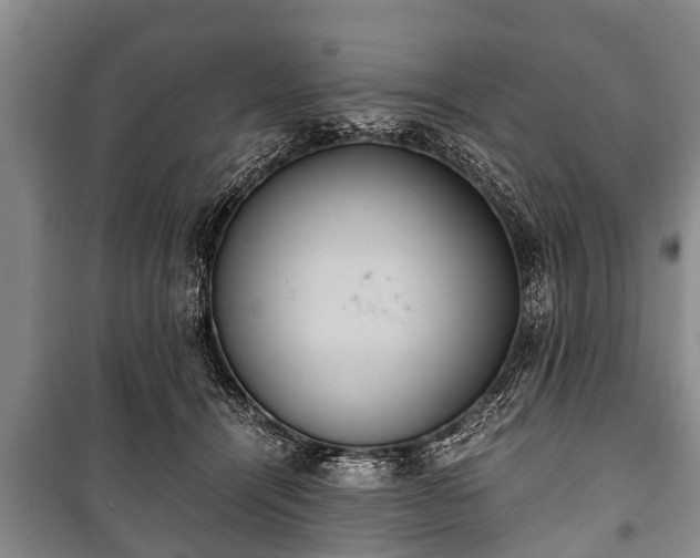 X0000100770464200806261547