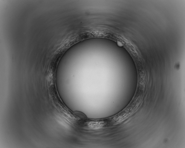X0000100770465200806261547