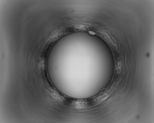 X0000100770466200806261548