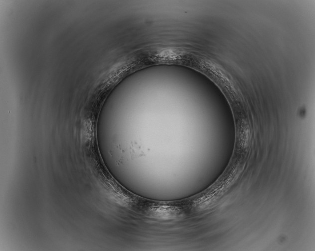 X0000100770467200806261548