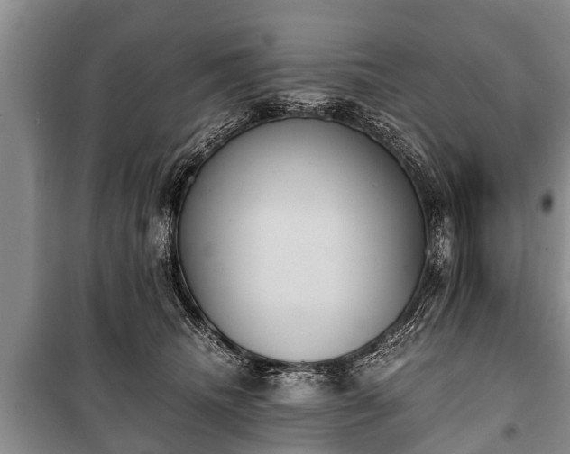 X0000100770468200806261548