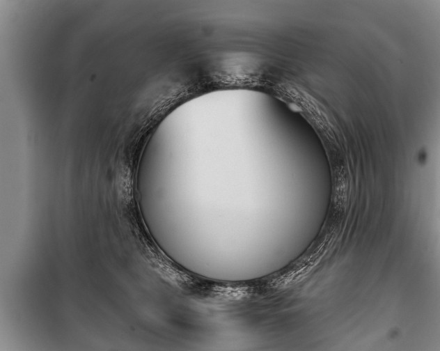 X0000100770469200806261548