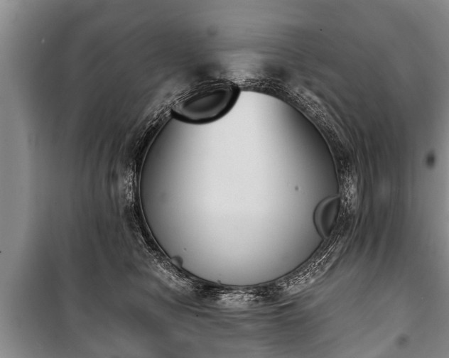 X0000100770470200806261548