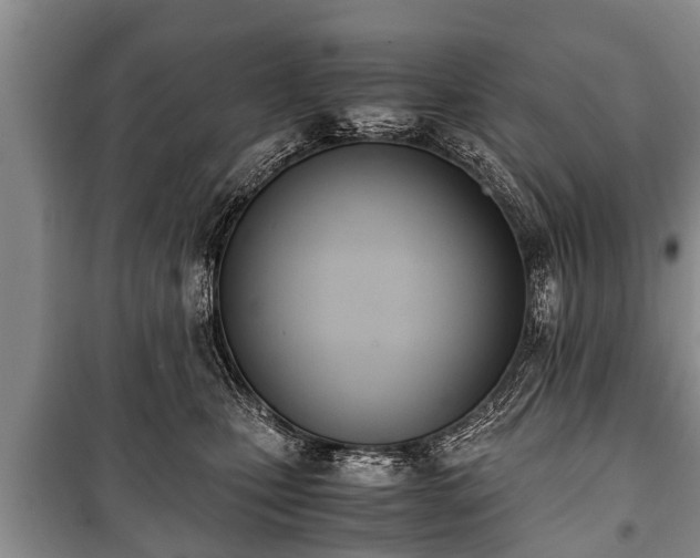 X0000100770471200806261548