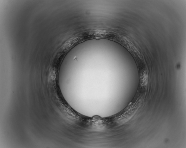 X0000100770472200806261548