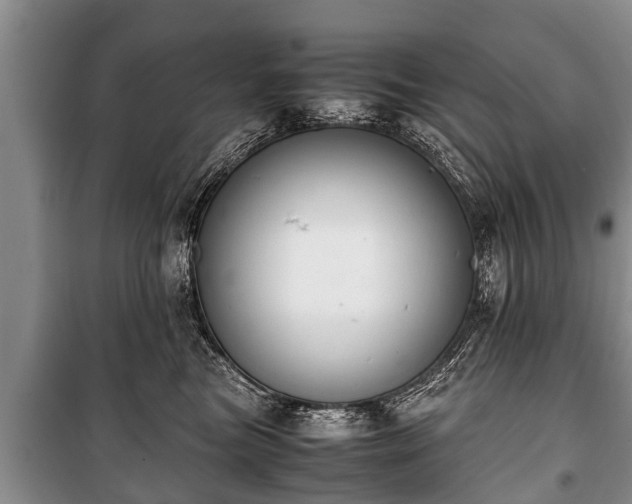 X0000100770473200806261548