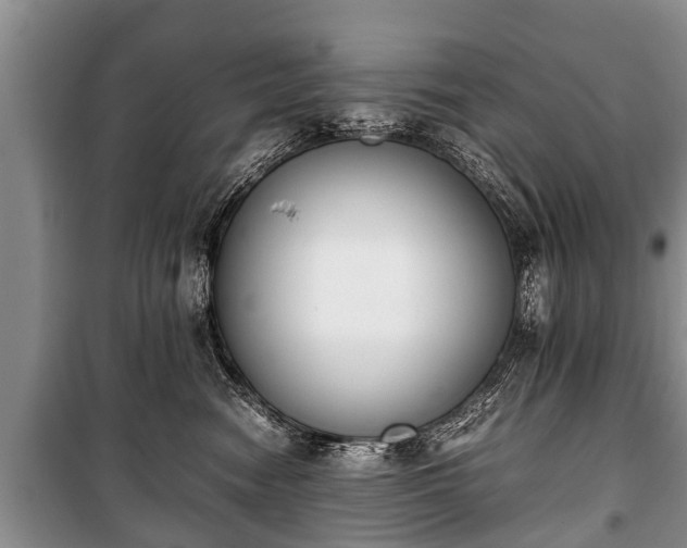 X0000100770474200806261548