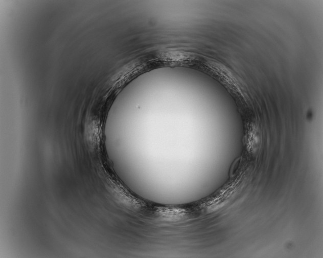 X0000100770476200806261548