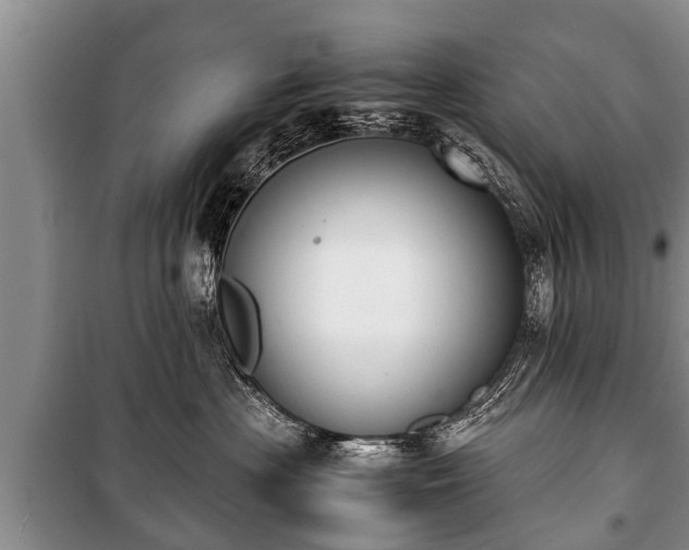 X0000100770477200806261548