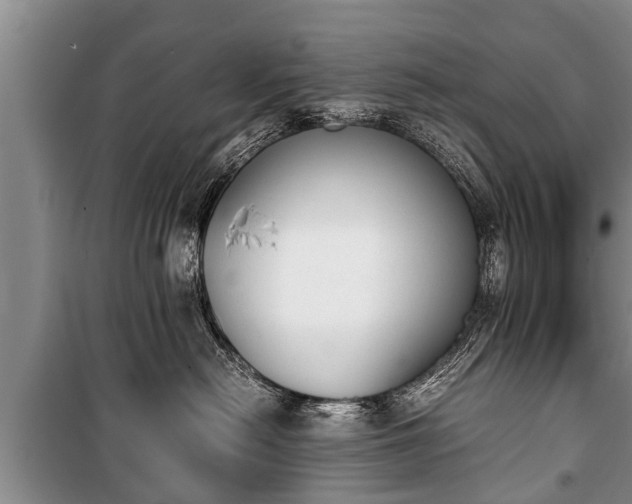 X0000100770478200806261548