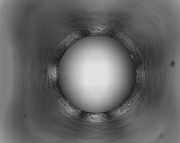 X0000100770479200806261548