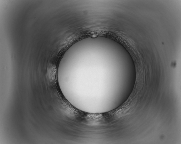 X0000100770480200806261548