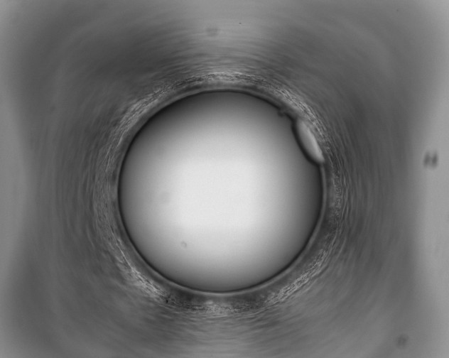X0000100770481200806261547