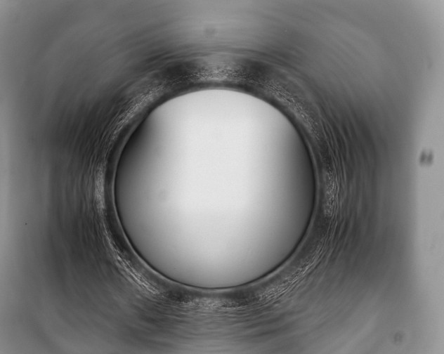X0000100770482200806261547